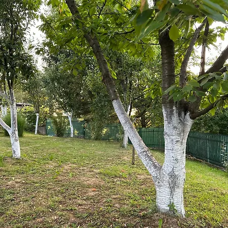 别墅 House Sarajevo