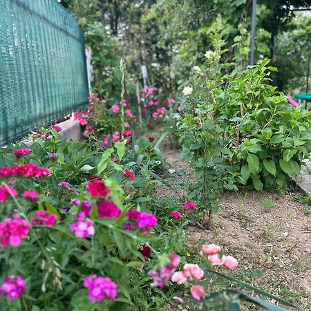 别墅 House Sarajevo Kovacevac