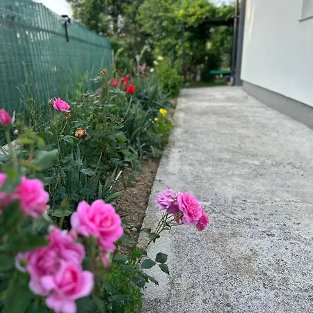 别墅 House Sarajevo *