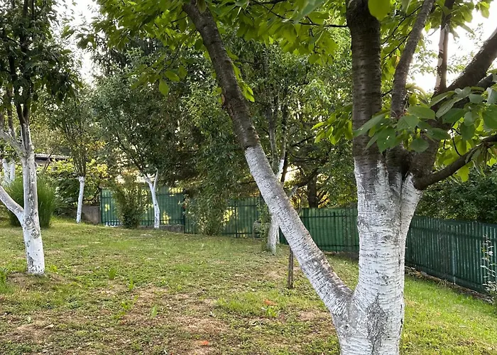 别墅 House Sarajevo