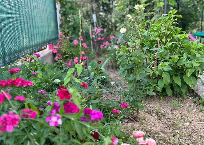 别墅 House Sarajevo Kovacevac