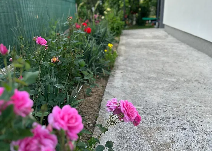 别墅 House Sarajevo *